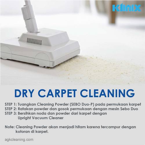 <span style='color:#000;font-size:18px;font-weight:700;'>SEBO DUO</span><br><span style='color:#000;font-size:14px !important;font-weight:400!important;'>Brush Carpet Cleaner</span>